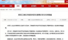 八村最新爆料新闻视频大全,揭秘新闻视频大全背后的精彩瞬间！”